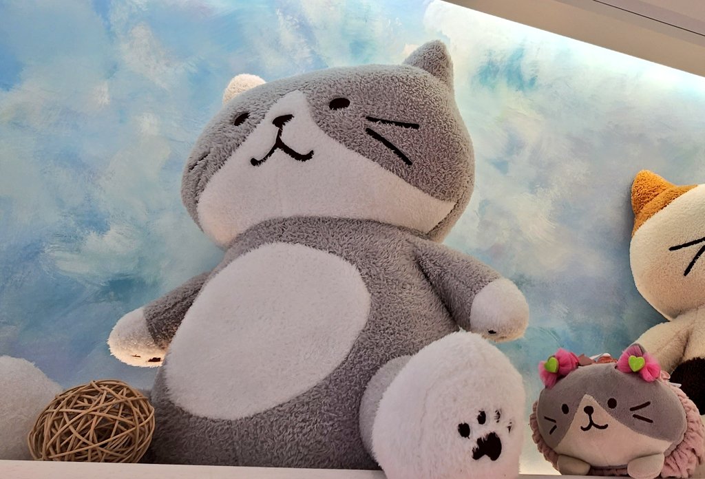 おはようございます！ シフト休み2日目！ 昨日は、#ねこの日 #忍者の