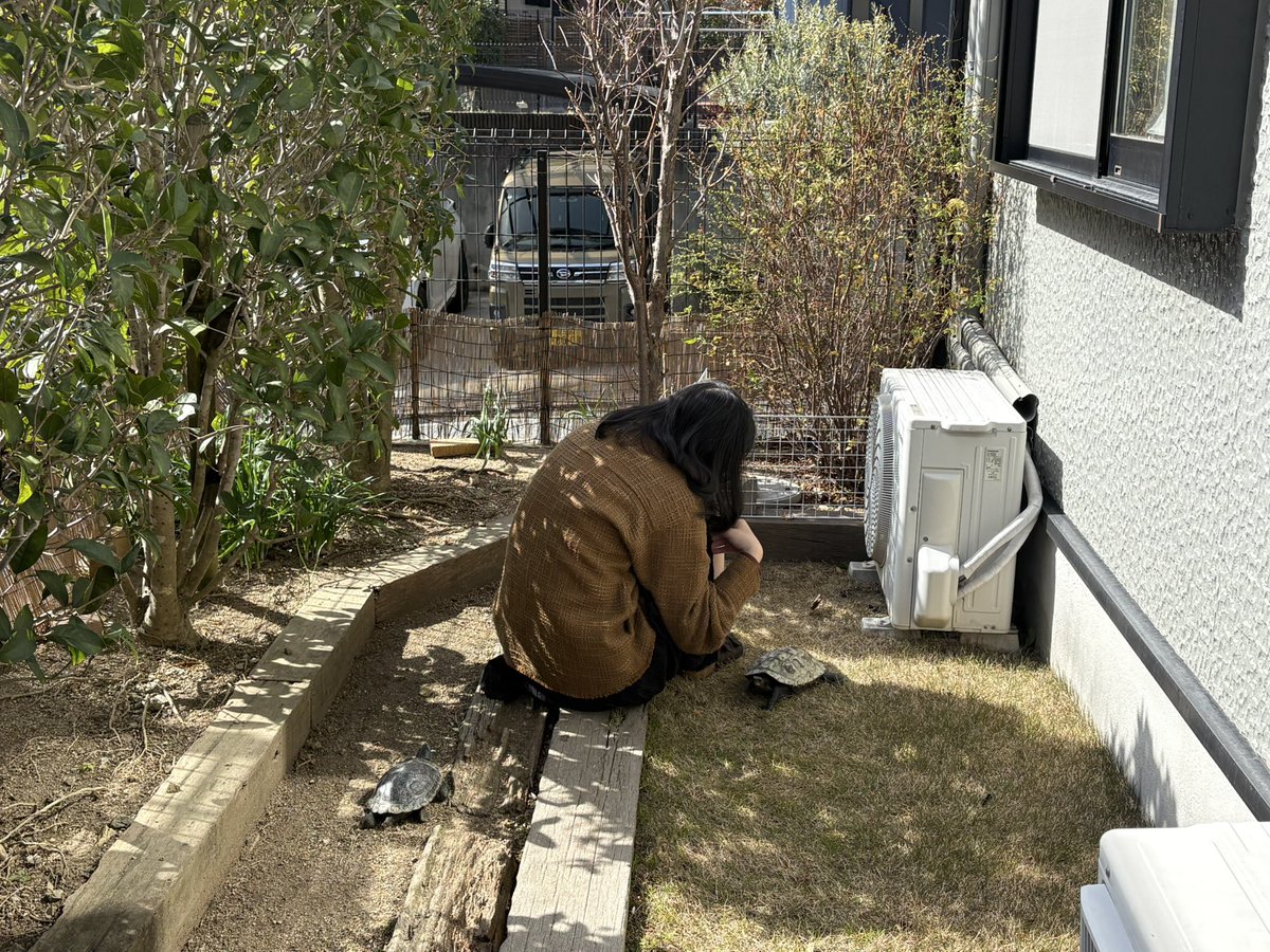 カメたちと戯れる娘