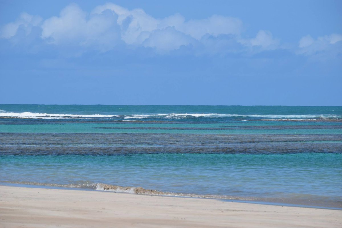 charlesbronzo's tweet photo. @brasilemmapas Faltou o maior e melhor destino turístico em se tratando de balneário marinho de todo território nacional: balneário de Porto de Galinhas. Direitos autorais da foto: @charlesbronzo https://t.co/6gmClqsy2P