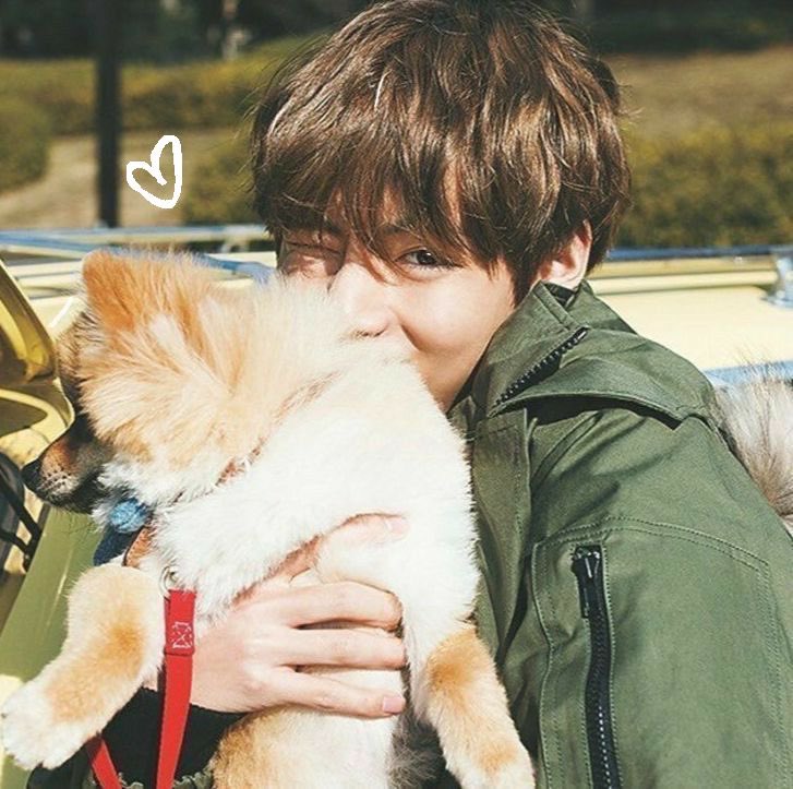 my personality guide + my bias ☀️

(somosuno)