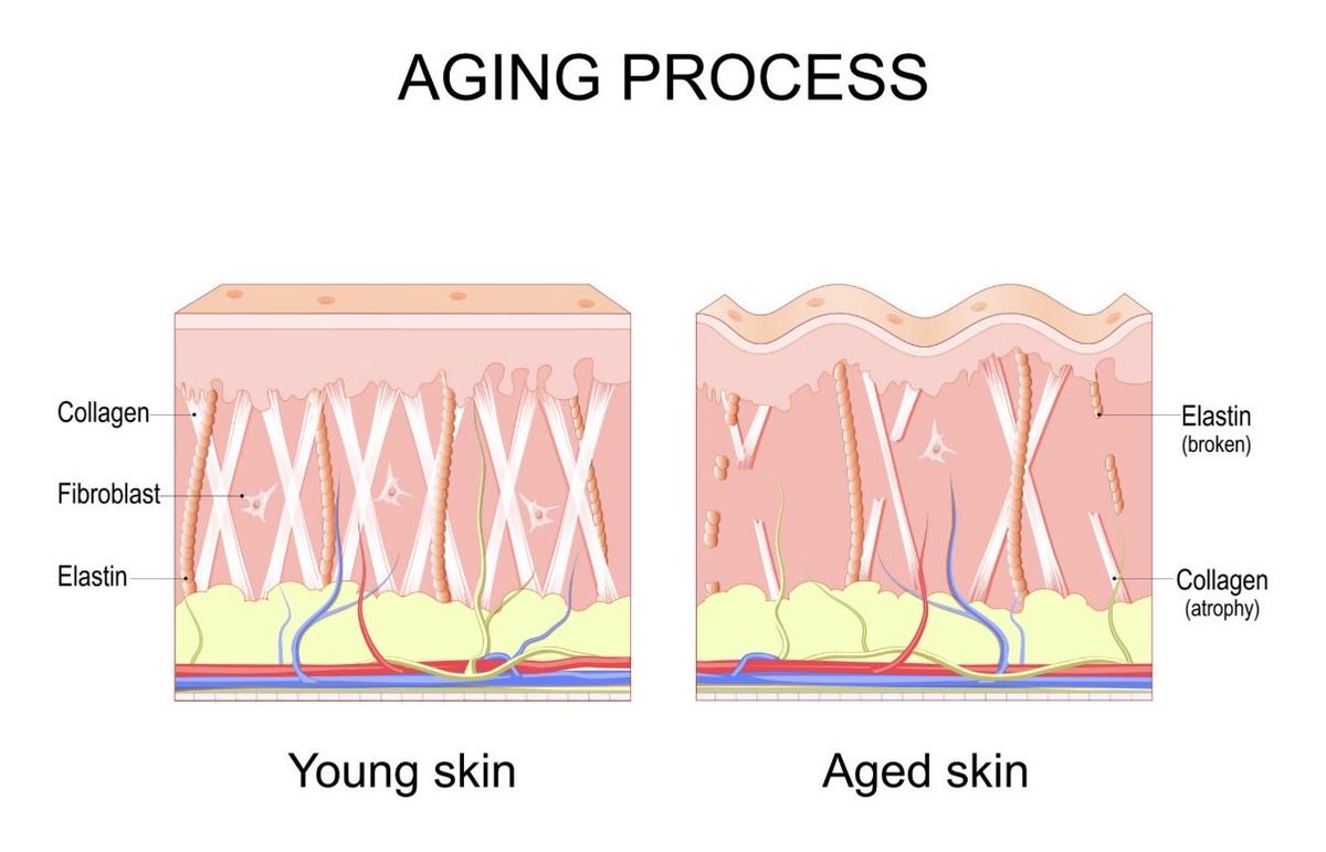 Kaitlin Horn tweet media