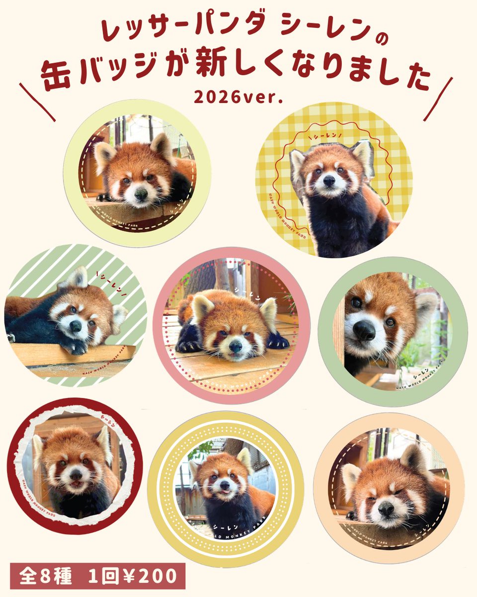 由 (@nbXbBrR08MvJeKF) / Posts / X