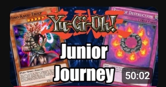 TheBirdPrincess tweet media