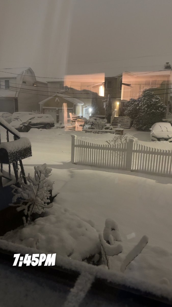 Mal 🍌🦋 tweet media