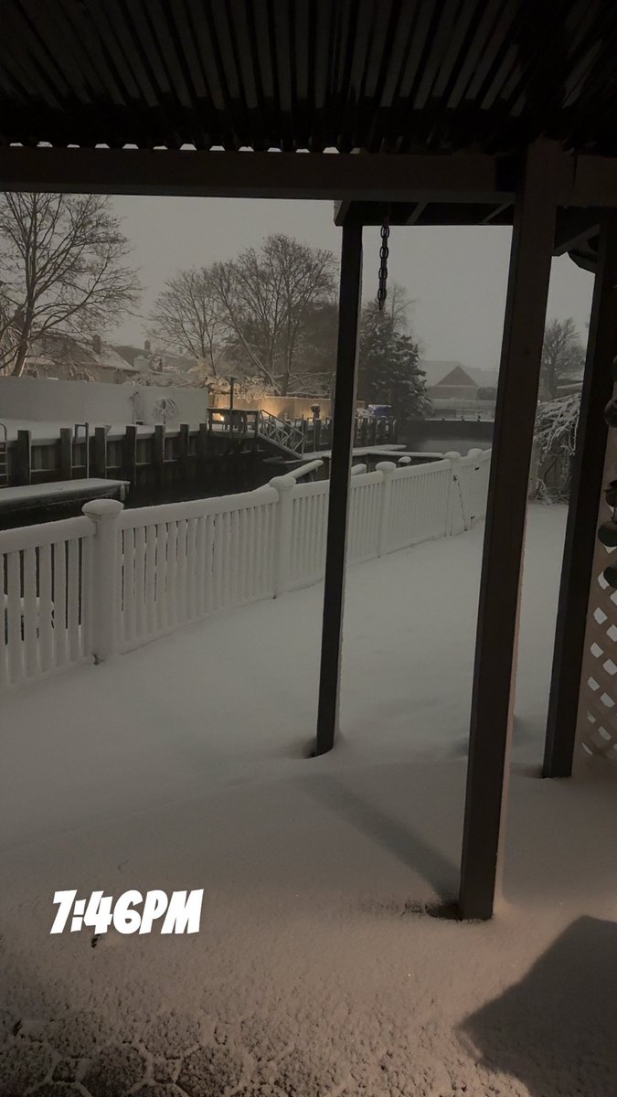 Mal 🍌🦋 tweet media