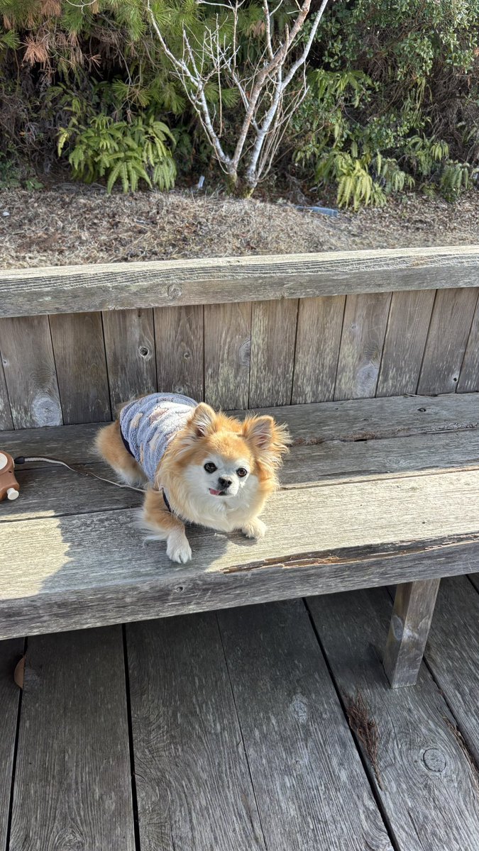 チビちゃんいい天気だね☀️