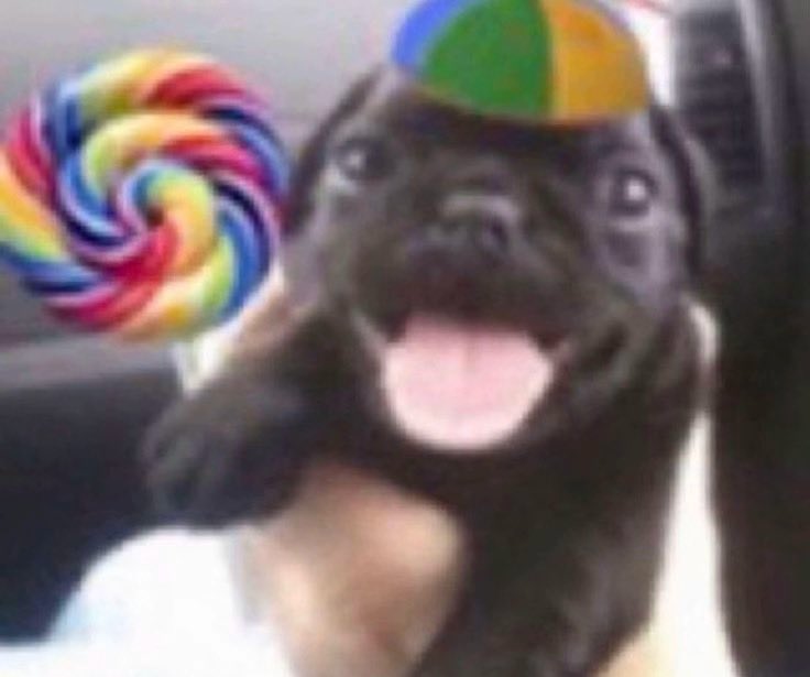 gracee ✮⋆˙ (@ateturning) on Twitter photo 