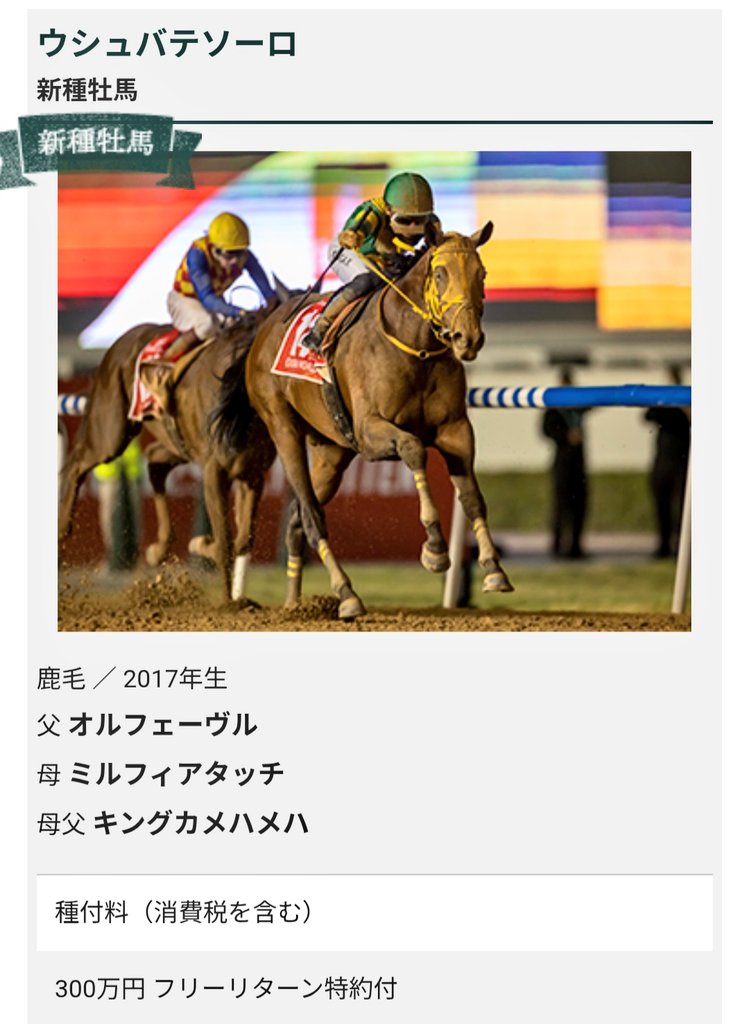 ミモザ (@_NONAMENOWHERE_) / Posts / X