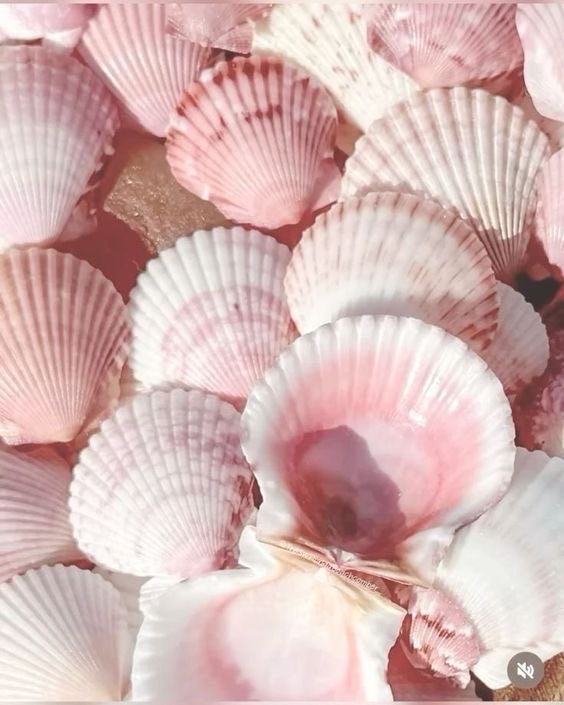 jhay🩰 tweet media