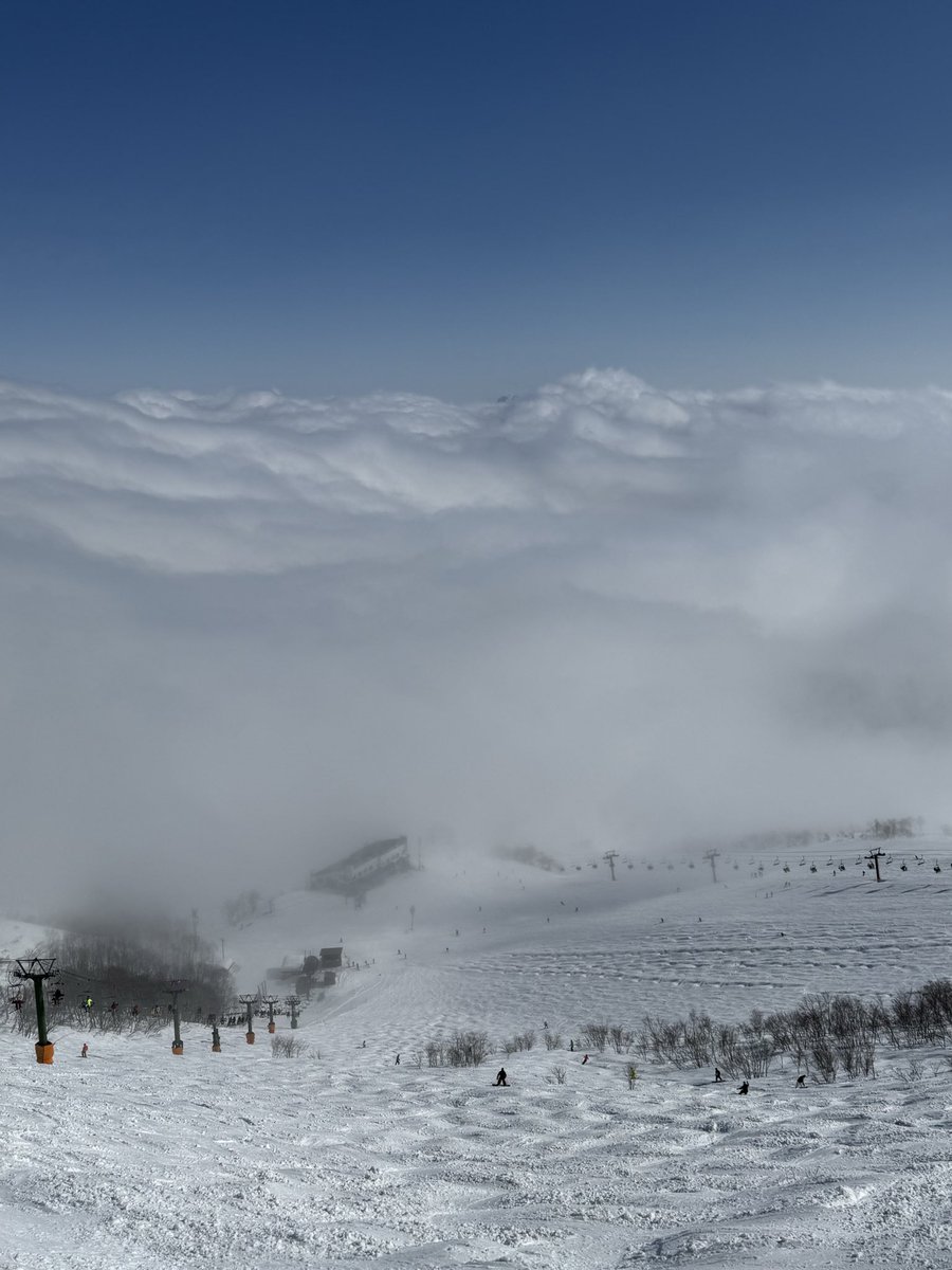 えもにゅー tweet media