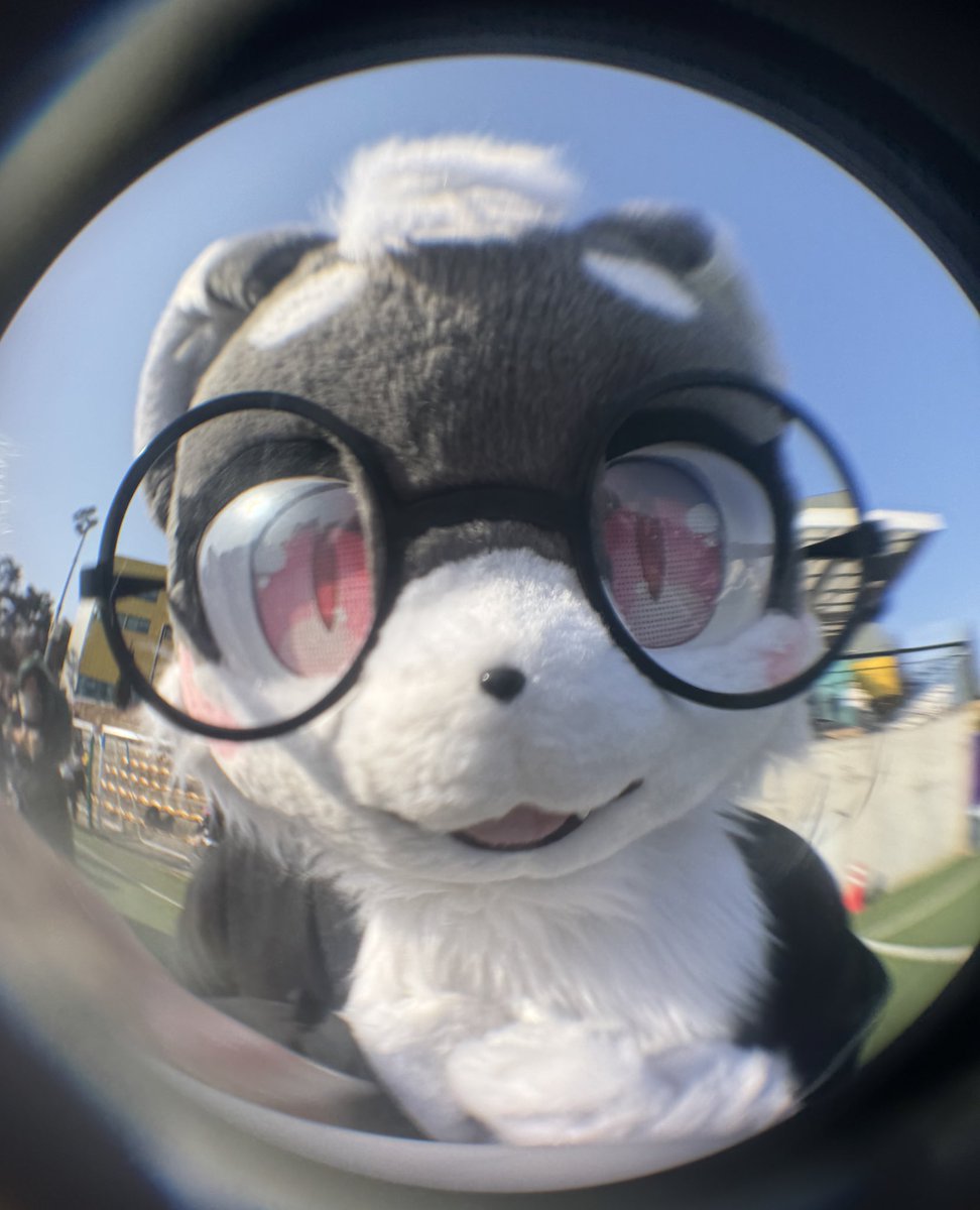 홀스백🔜퍼클래스(양일) tweet media