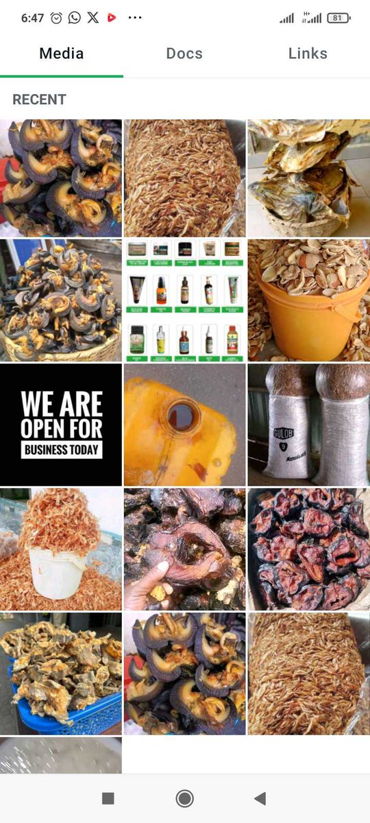 cyweventures's tweet photo. @davidfor30bg I need #10,000,000 funding support  to buy raw materials and food stuffs to subsidise my cosmetics and food processing products prices to be affordable to the grassroots in  my community in ifakoijaye LGA. Lagos https://t.co/oFfa9Ne1QB