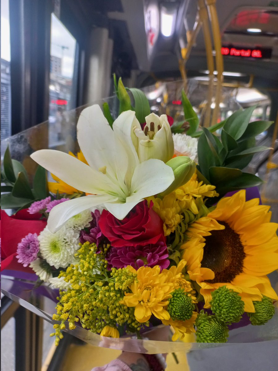 gonzalez_2104's tweet photo. Nunca dejen de regalar flores, por favor. 💐❤️ https://t.co/vIrSCpZlIT