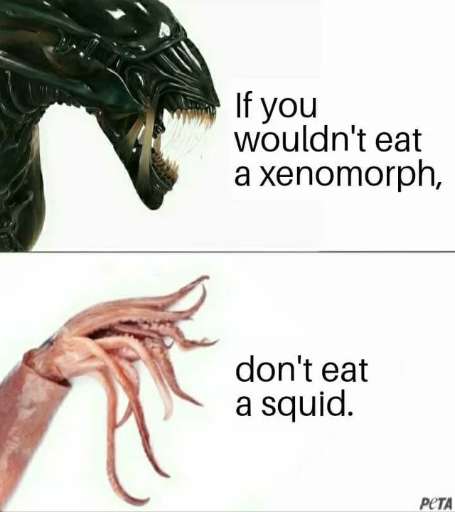 ShitpostGateway (@shitpostgate) on Twitter photo 