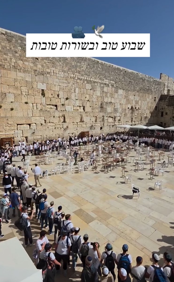 Hay semanas que empiezan como cualquier otra. Y hay semanas que empiezan con intención.

“Que Hashem te envíe ayuda desde el Santuario y te sostenga desde Tzion.
Que la fuerza no venga solo de lo que vemos, sino de lo que nos sostiene desde lo alto. Desde Jerusalem. Desde ese