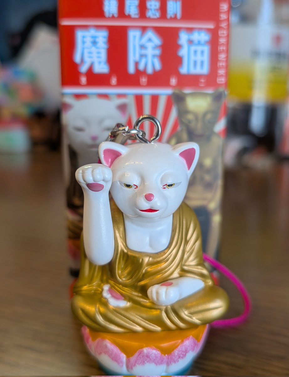 下北沢のヴィレバンにて。 横尾忠則さんコーナーあったのでこちらを購入。