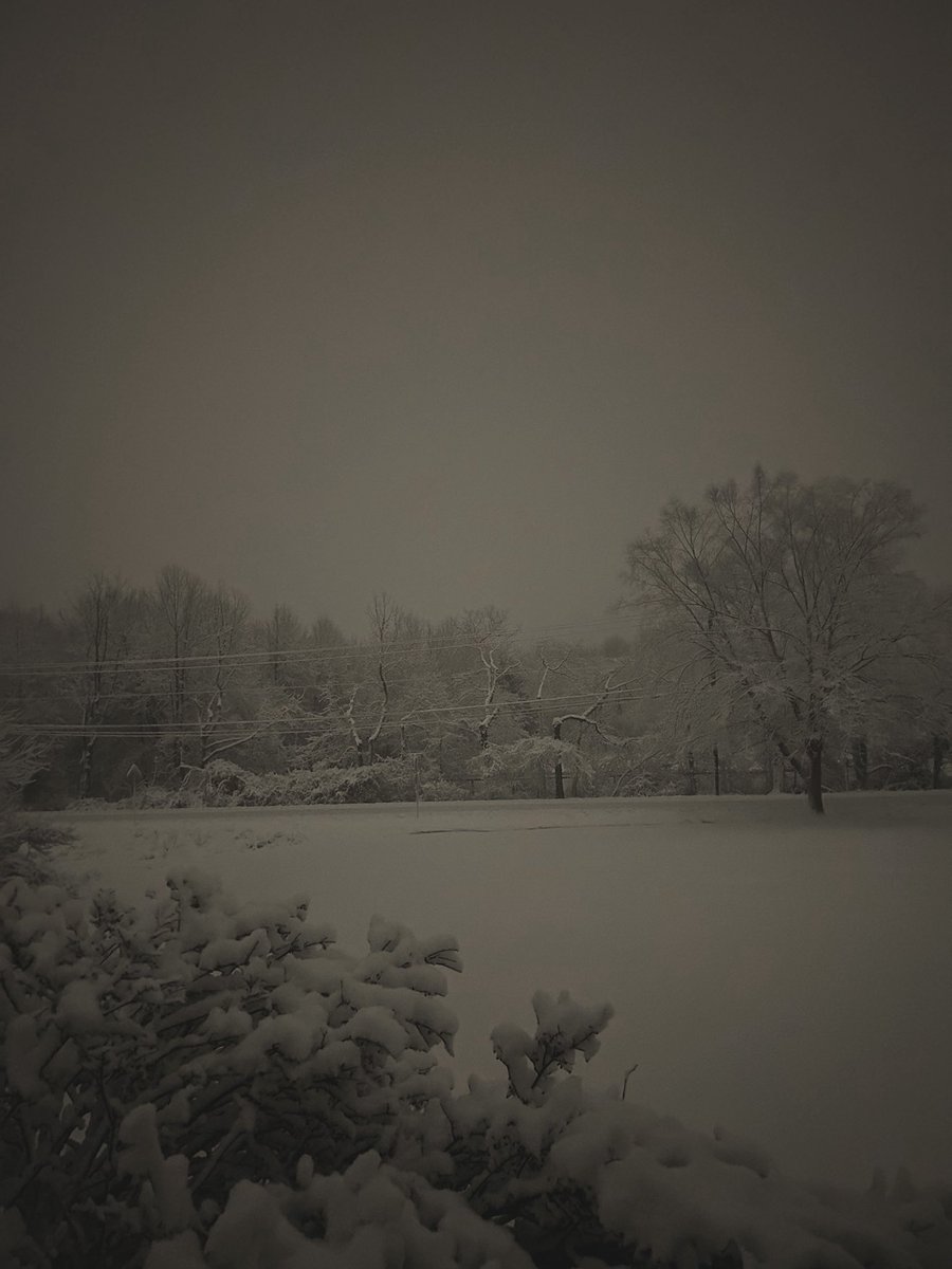 Keegan Fitzpatrick tweet media