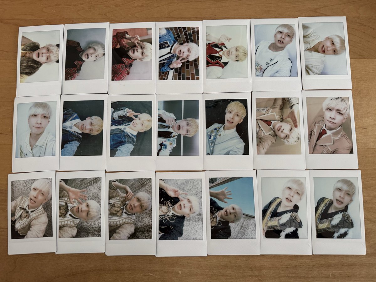 パンダドラゴン パラゴン ハピカ チェキ 讓渡 【譲】黄 【求】定価 4枚