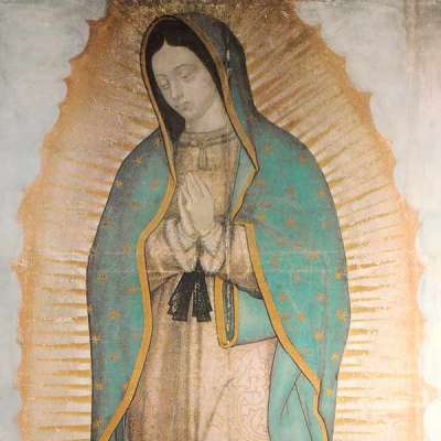 UnCatolicoBien's tweet photo. Oración por la Paz
🇲🇽🙏🏼

Señor Jesús, tu eres nuestra paz, mira nuestra Patria dañada por la violencia y dispersa por el miedo y la inseguridad.

Da acierto a las decisiones de quienes nos gobiernan.

Consuela el dolor de quienes sufren.

Toca el corazón de quienes olvidan que somos hermanos y provocan sufrimiento y muerte. Dales el don de la conversión. 

Protege a las familias, a nuestros niños, adolescentes y jóvenes,a  nuestros pueblos y comunidades. 

Que como discípulos misioneros tuyos, ciudadanos responsables, sepamos ser promotores de justicia y de paz, para que en ti, nuestro nueblo tenga vida digna.

Santa María de Guadalupe,

Reina de la Paz, Ruega por Nosotros.