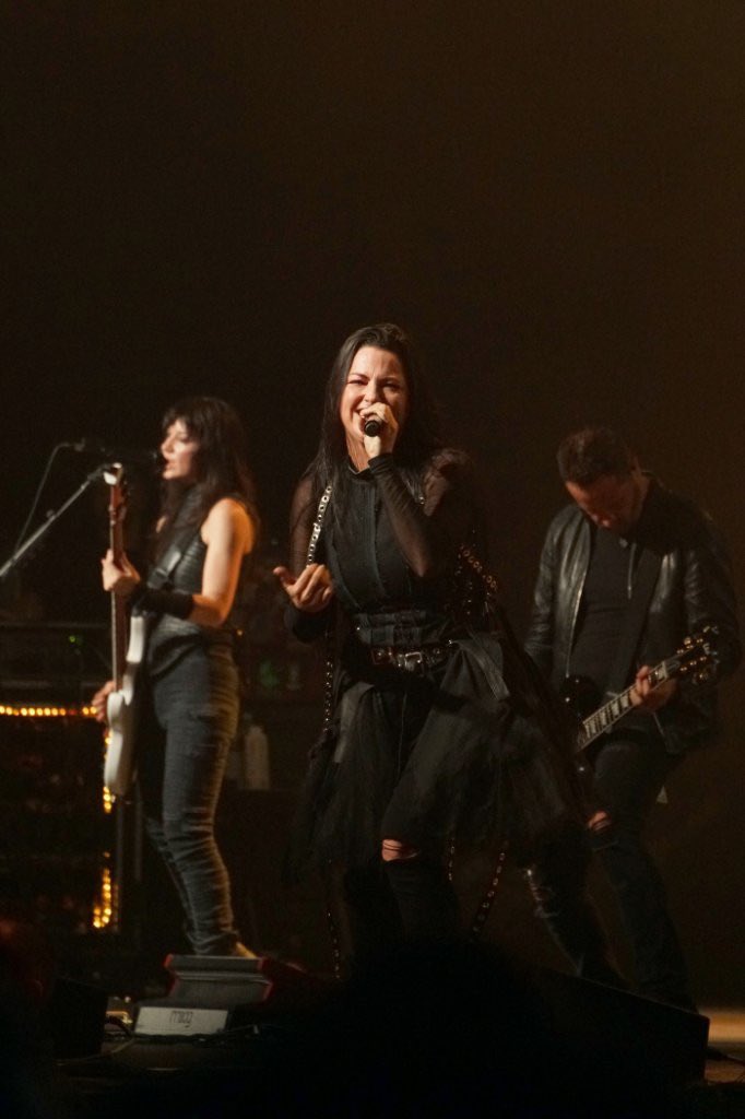 daily amy lee (@dailyamylee) / Posts / X