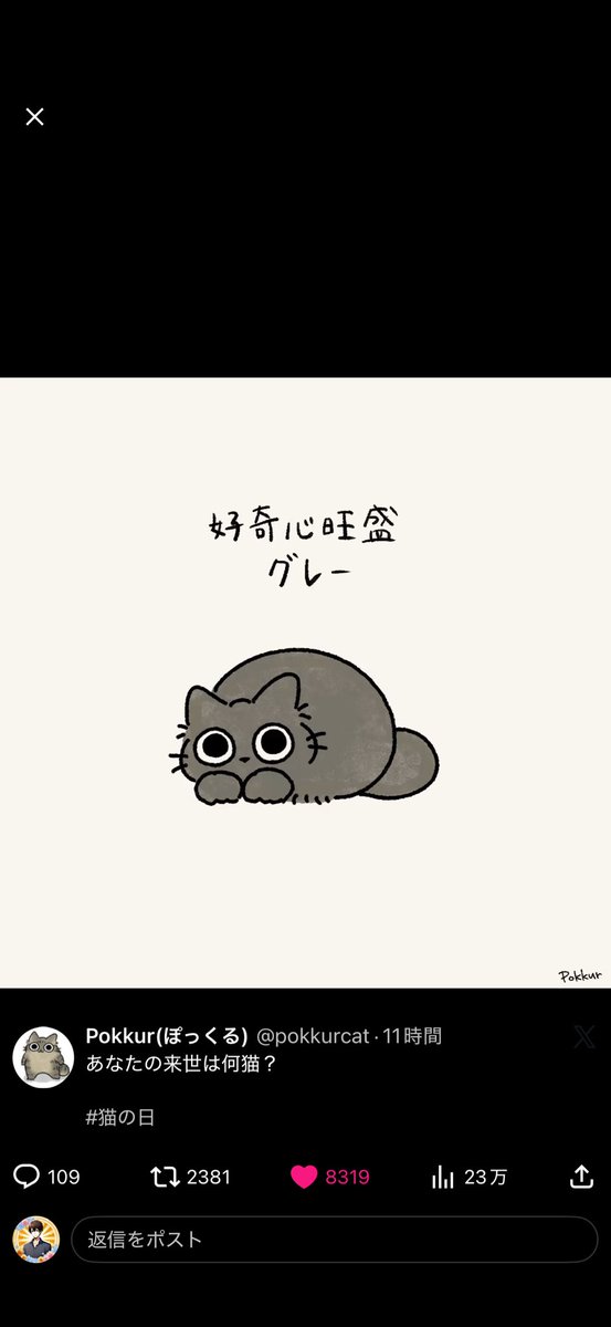 好奇心旺盛 グレー🐈‍⬛