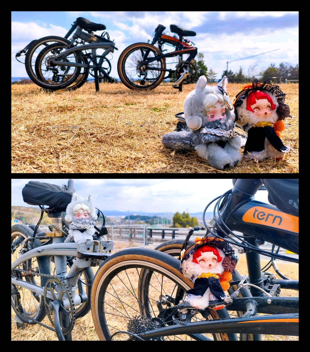 exarp_air's tweet photo. #愛車をもっと畳もう
#tern #verge #LinkA7 #ぬい撮 #スカルパンダ https://t.co/LsJxLcMAsH