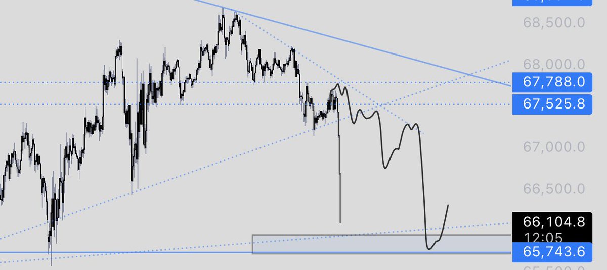 NellyTradez tweet media