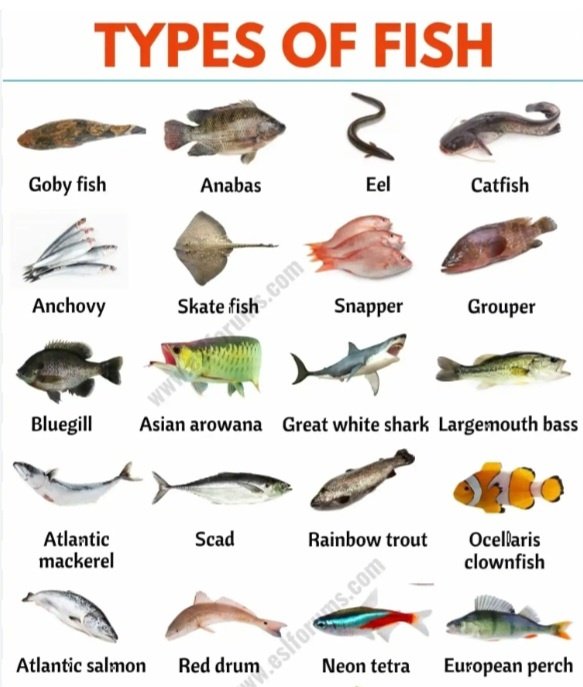 Not all therapy ends well, some comes with forever ptsd 😭