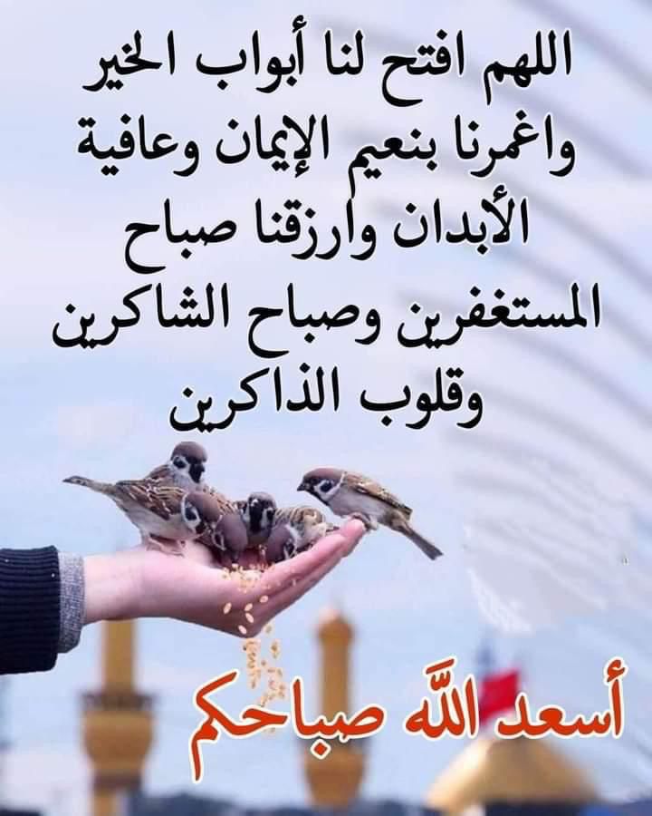 samreah_2011's tweet photo. https://t.co/2NR1tLIFh0