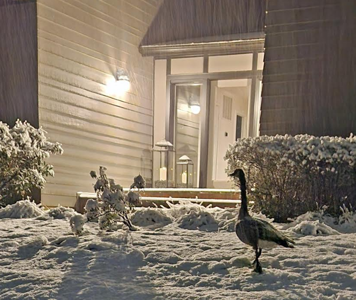 Capital Weather Gang tweet media