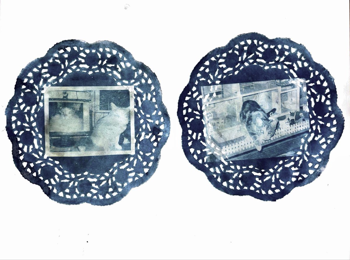 Need to redo but so cute…