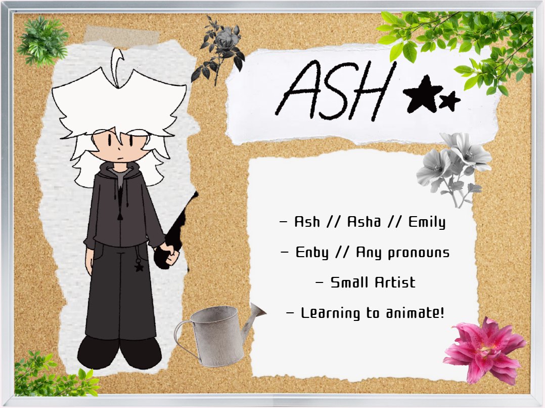 Ash 💫 tweet media