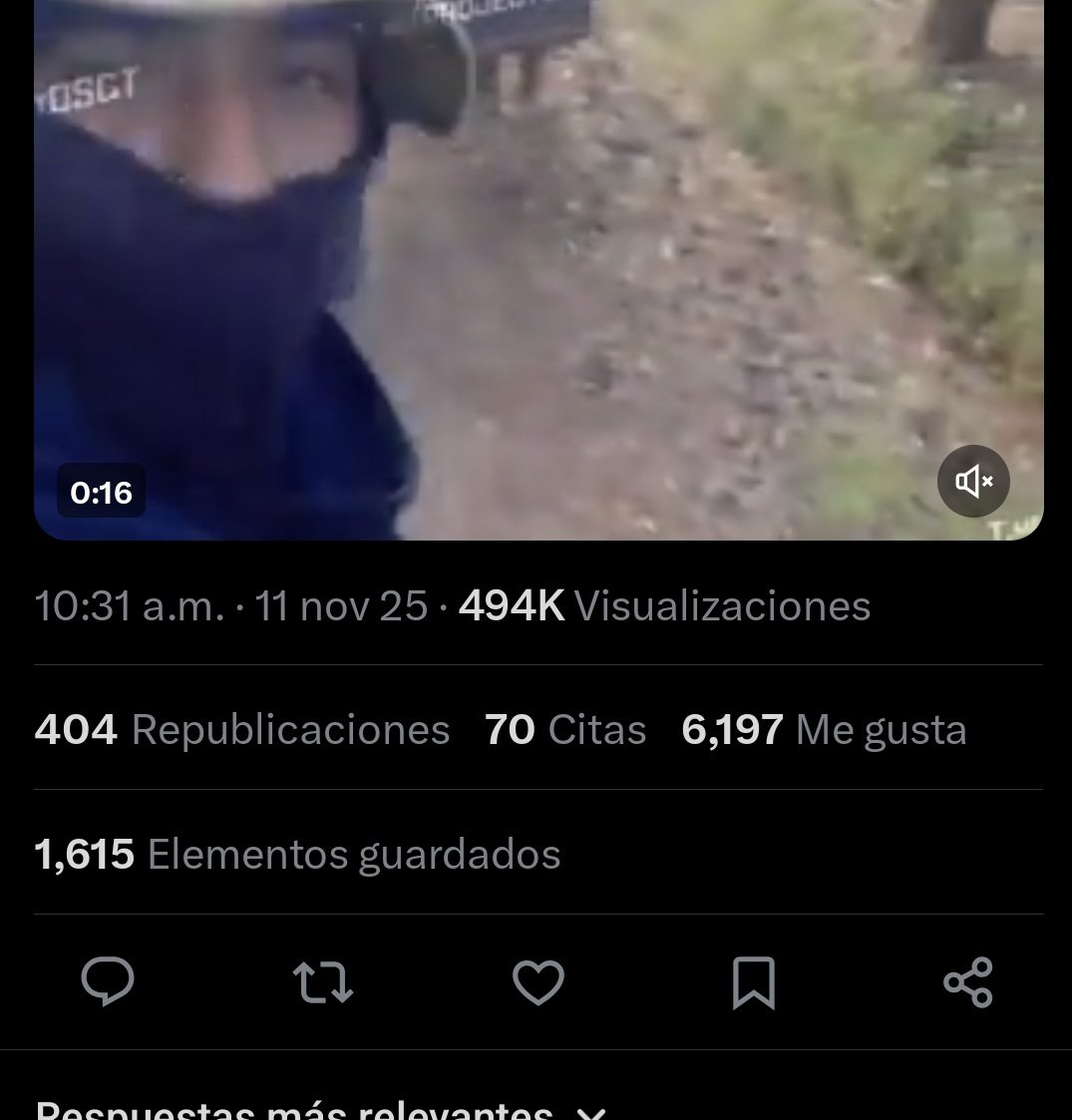 ZuritaCarpio tweet media
