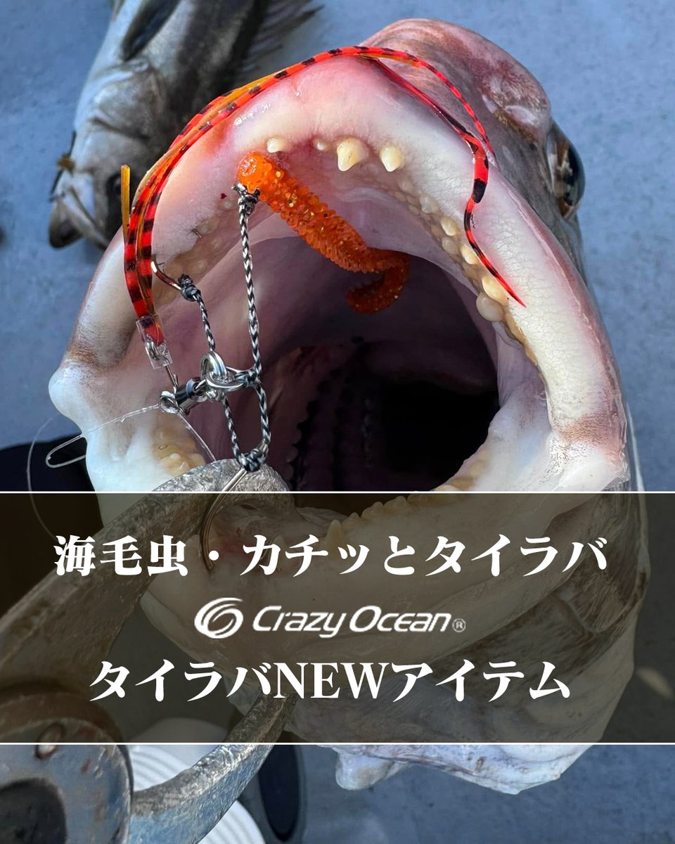 lurenewstv's tweet photo. 「海毛虫」&「カチッとタイラバ」、2026年も気になるアイテムが投入されるぞ!
春に向け、タイラバも気になるシーズン!
関連記事
https://t.co/bijcsMwEed
#crazyocean #レイジーオーシャン #海毛虫 #カチッとタイラバ #タイラバ https://t.co/crkJ7OI5BH