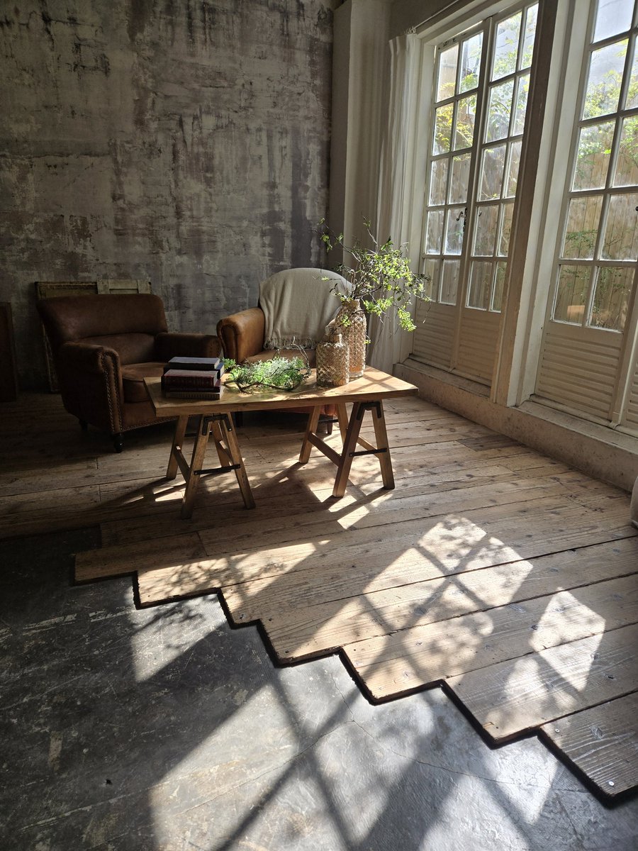 スタジオアニア tweet media