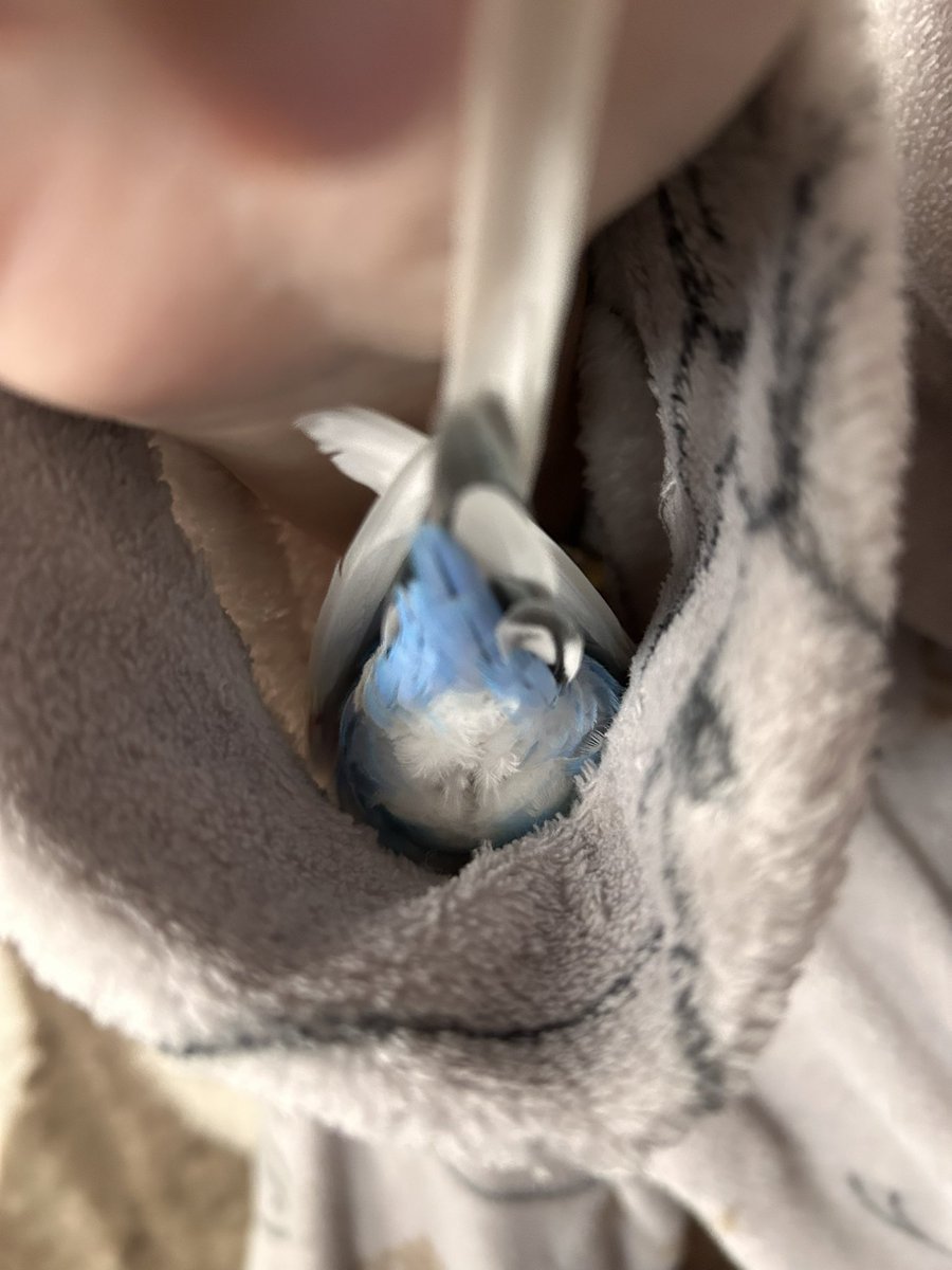 そこあったかいね〜肘つけないからでてきておくれ