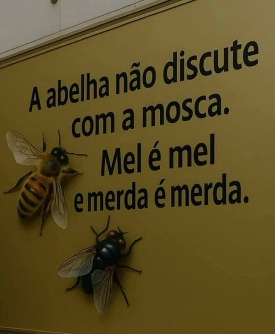 Frases (@umfilosofocitou) on Twitter photo 