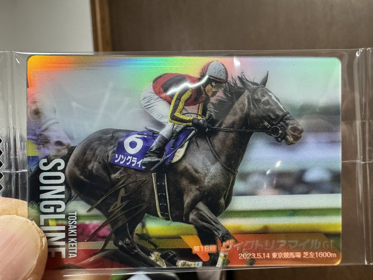 サラブレッドホースコレクション生活 63日目 ソング✍️ うん、✍️は2