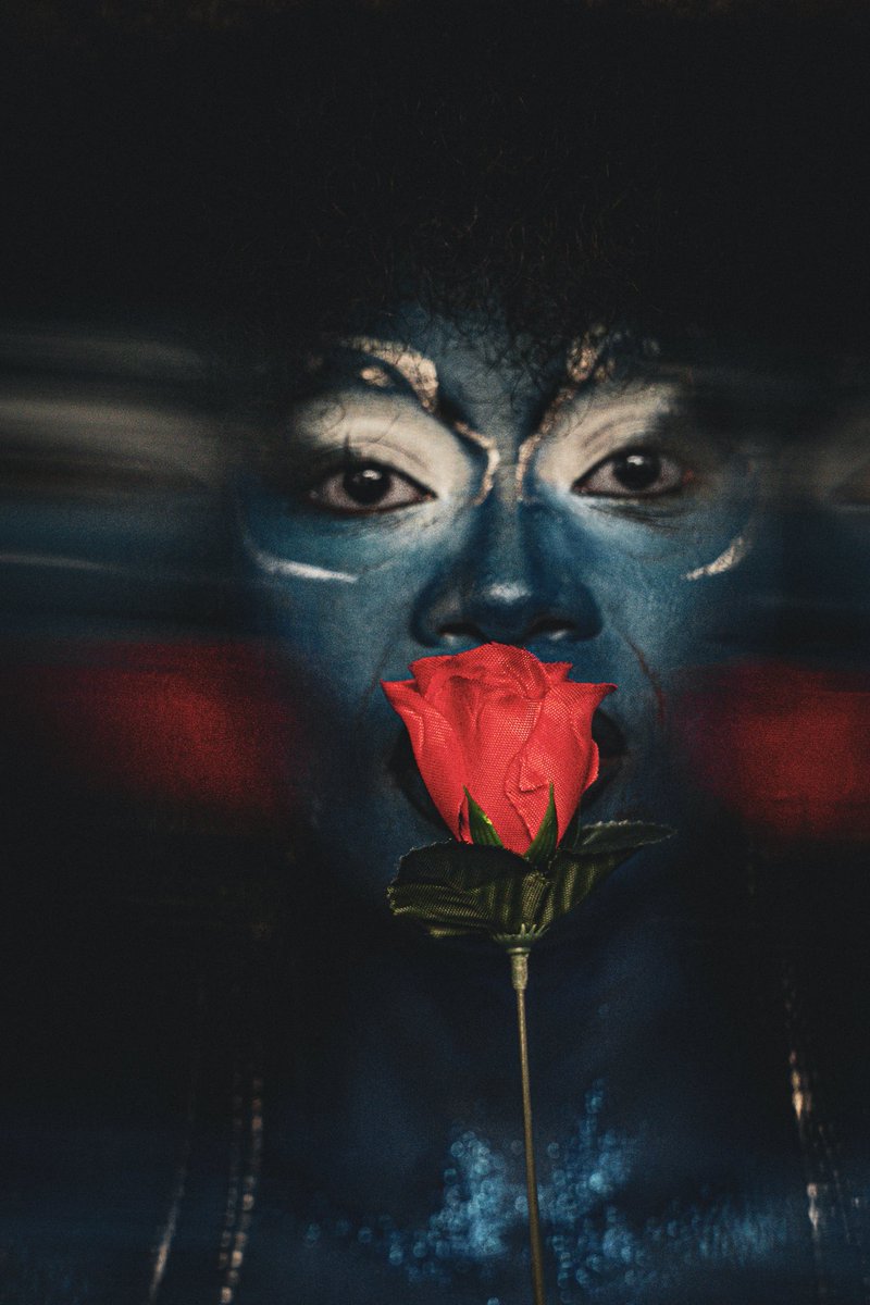 ZOË MODIGA tweet media