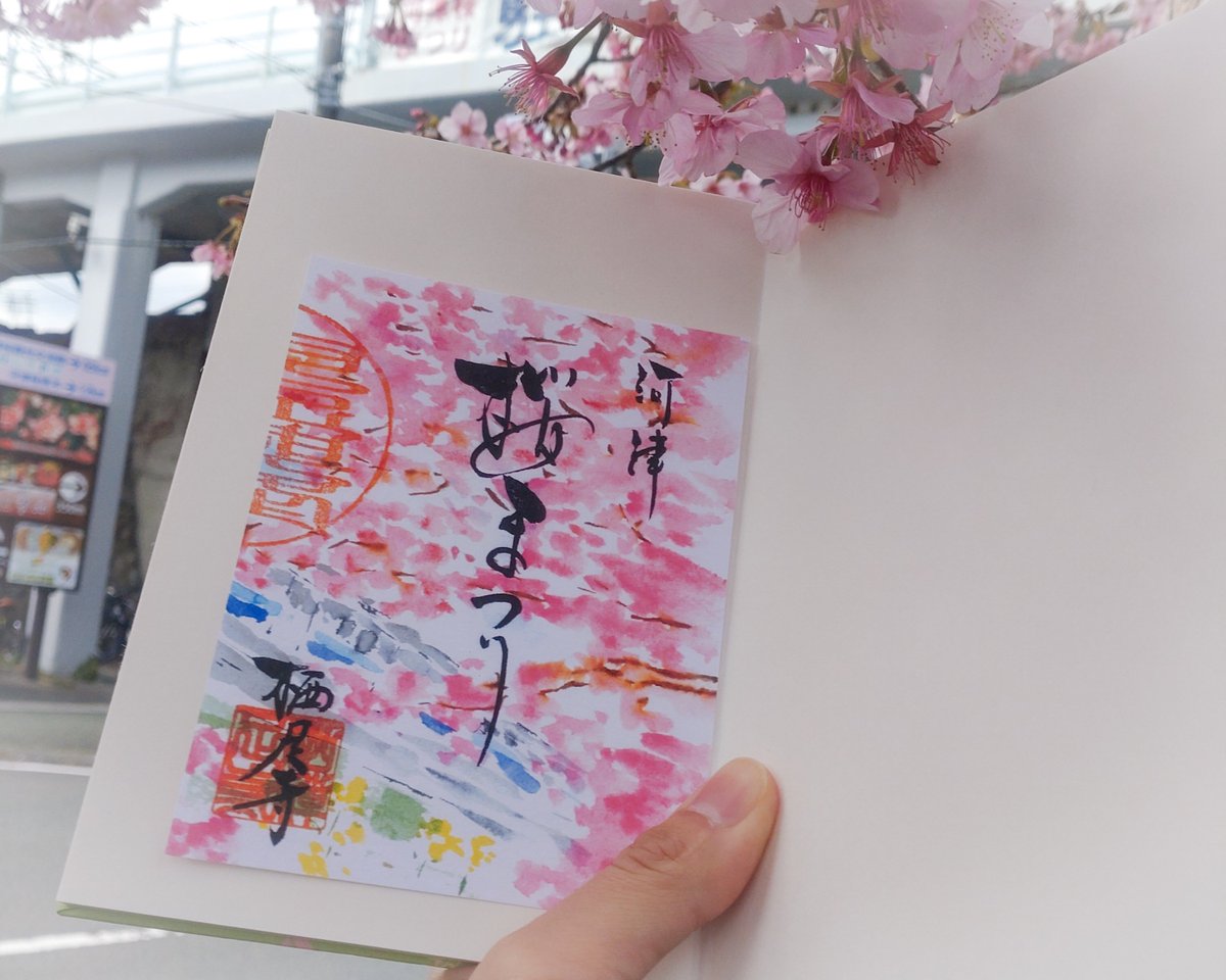 河津町で桜をお楽しみ中の みなさ～～ん！！！🌸 ＼ 🌸桜まつり限定