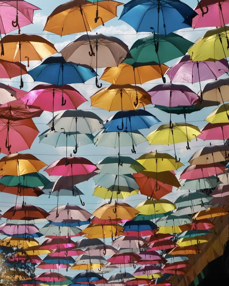 NosotrosTequila's tweet photo. Jalisco is more than today’s headlines.
We celebrate its vibrant streets, its resilient people, its art, food, culture, sunsets over the Pacific. Our hearts are with the community and our team on the ground. Peace, strength, safety for every family in Guadalajara, Puerto Vallarta and every corner of this state we love. Estamos contigo, Jalisco.