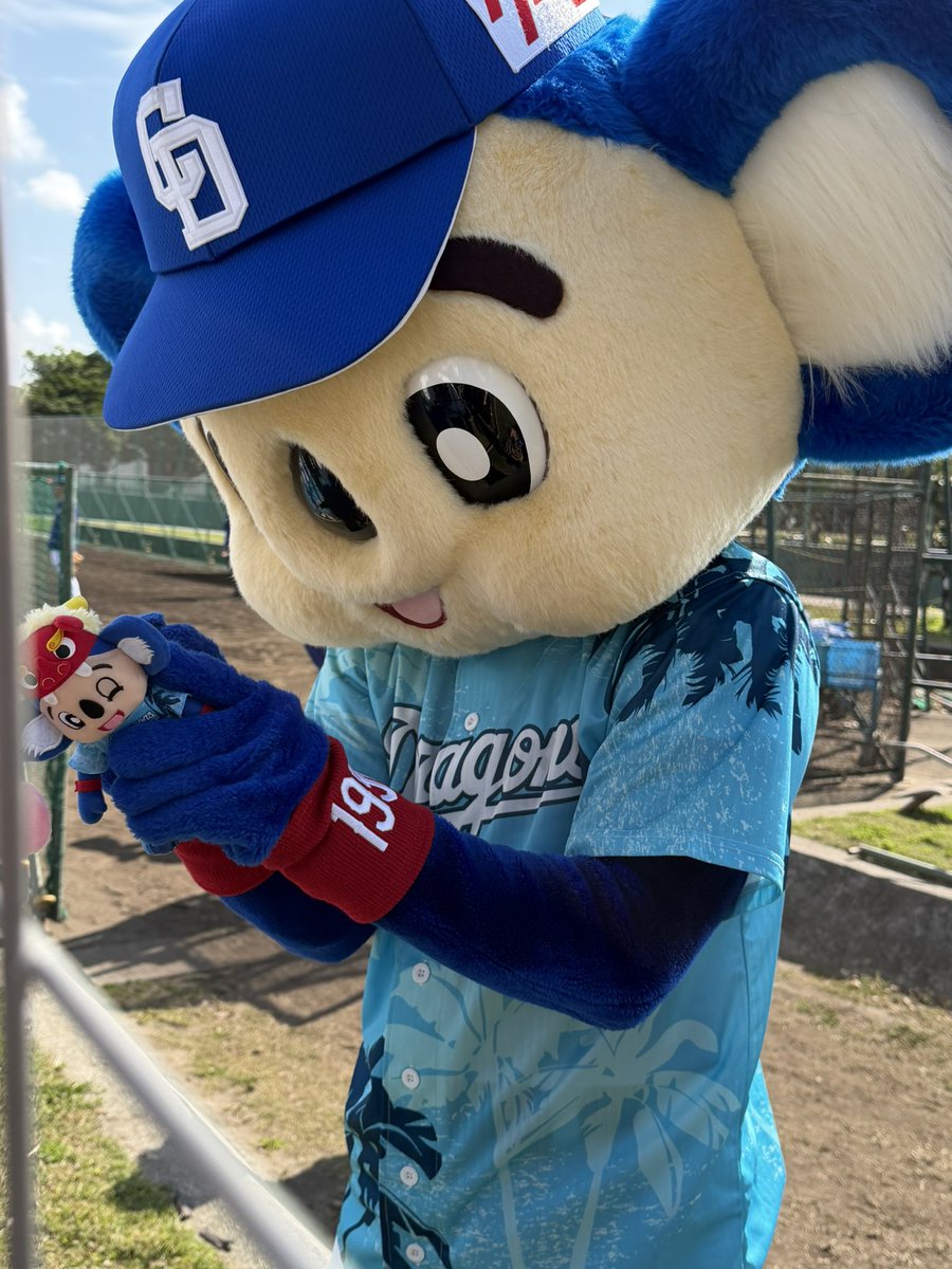 ドアラさん かわいすぎる🐨 #dragons