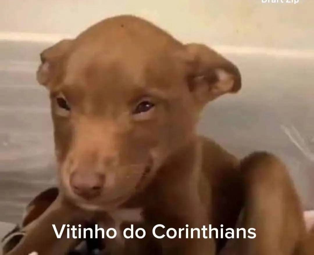 Central do Cortinas tweet media