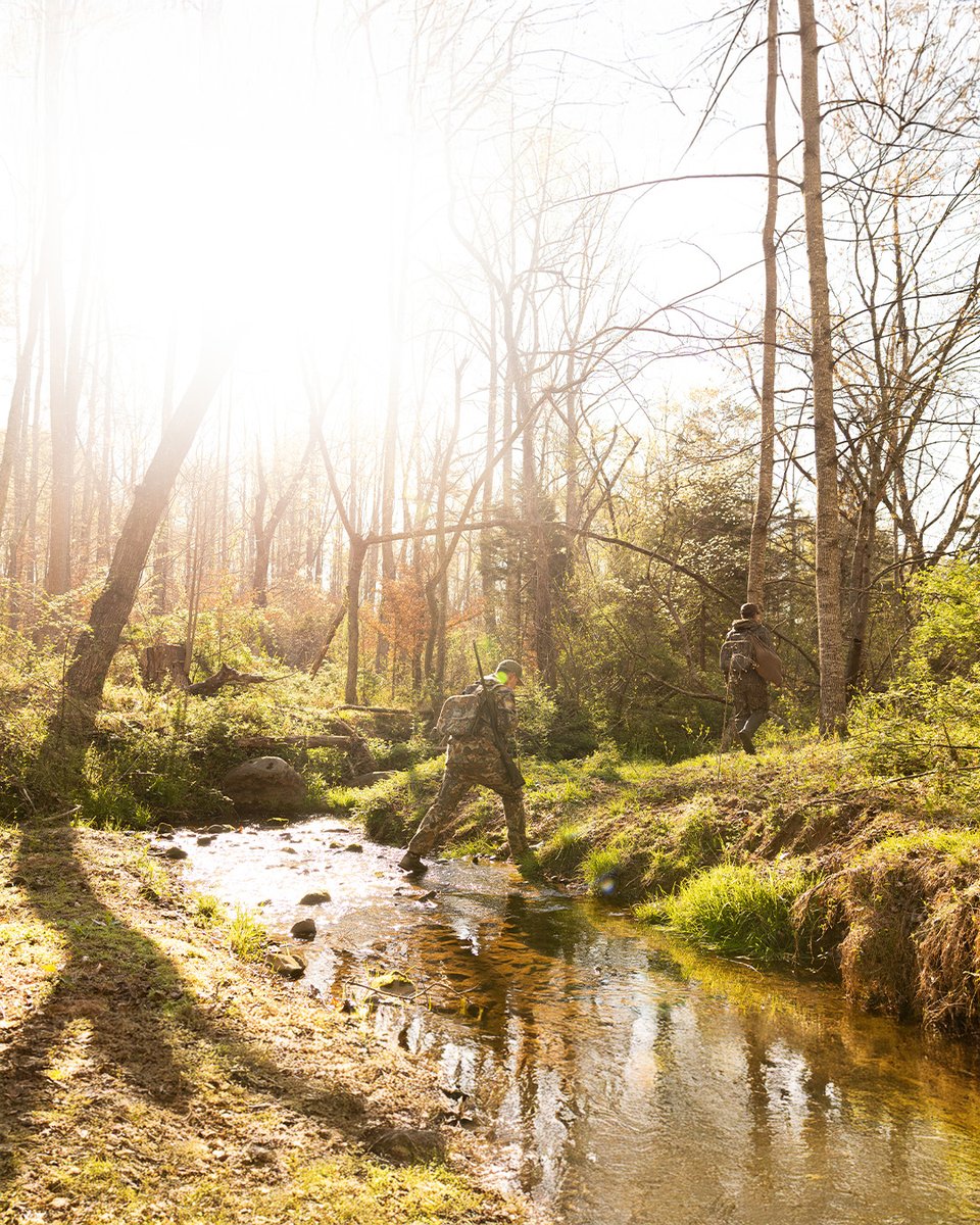 Realtree tweet media