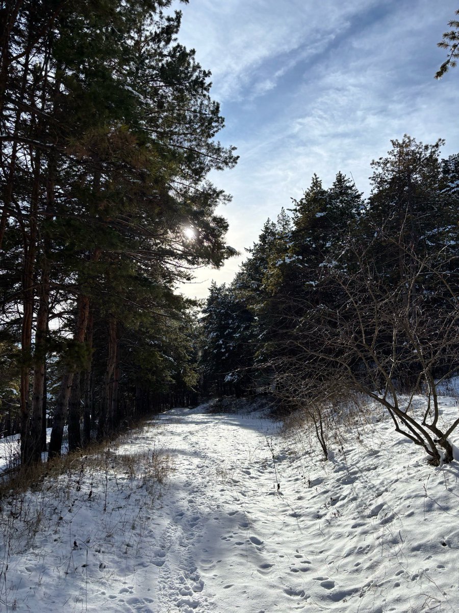 Vettiyaan (@rgbalu) on Twitter photo 