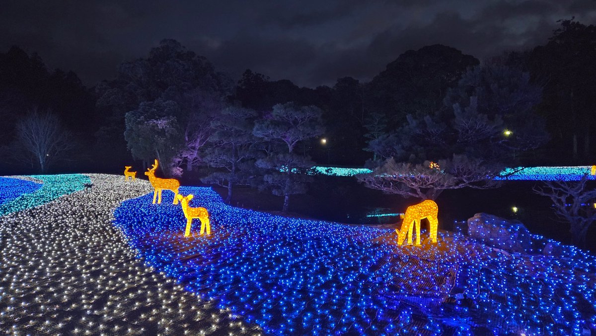 みるタンく tweet media