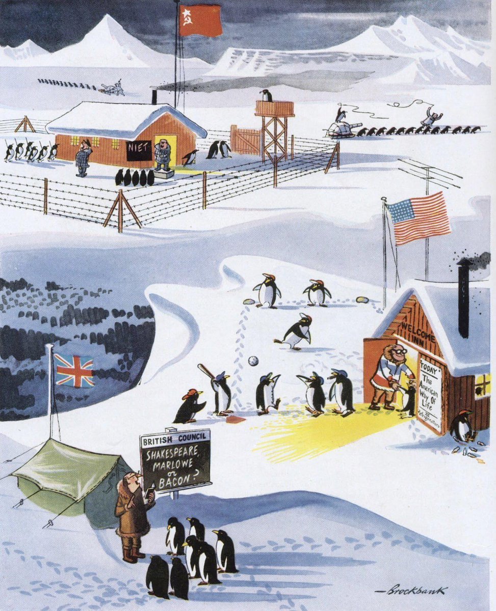 Timeless Classics tweet media