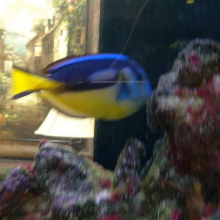 Art of the Day! "Getting Better". Buy at: ArtPal.com/Brenniewebb?i=…