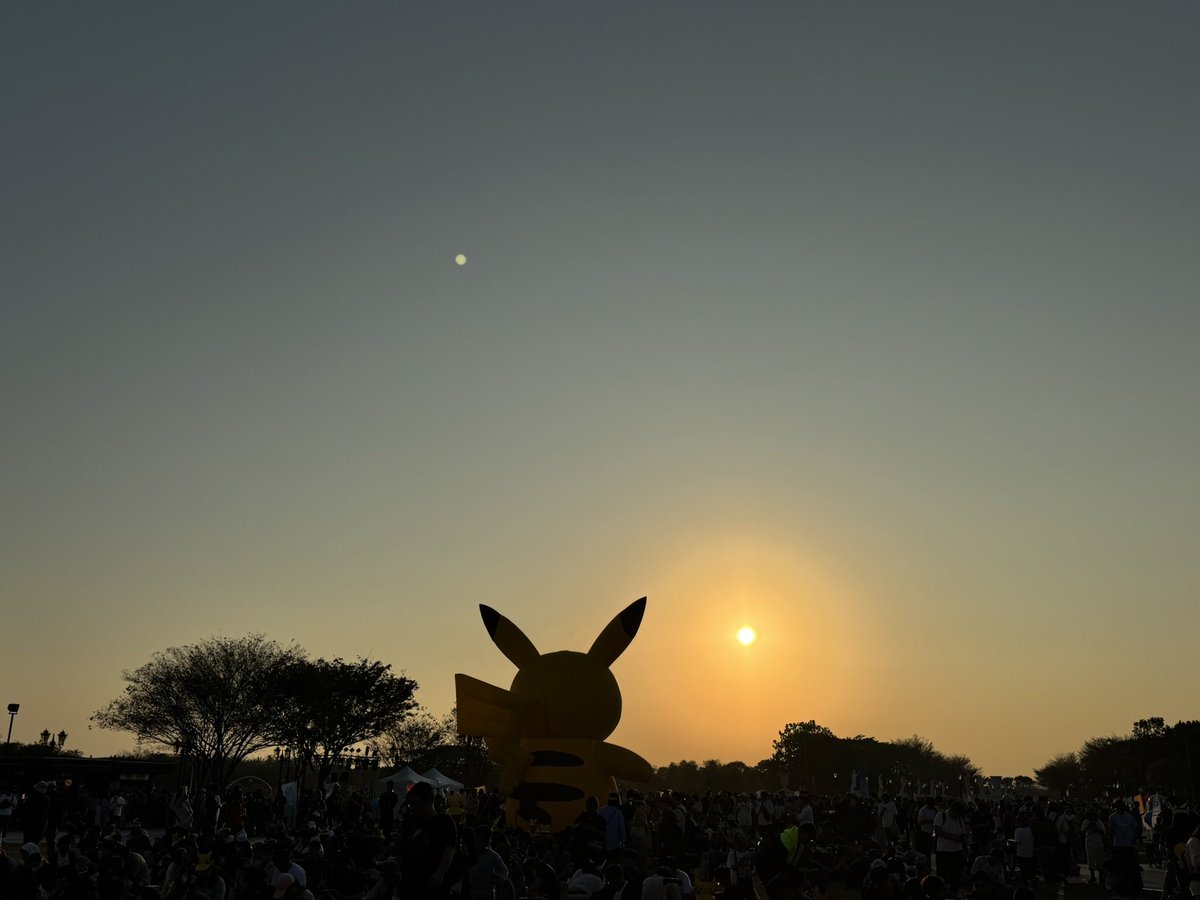 もふもふ (@DObMlTvOPvZbRA6) / Posts / X