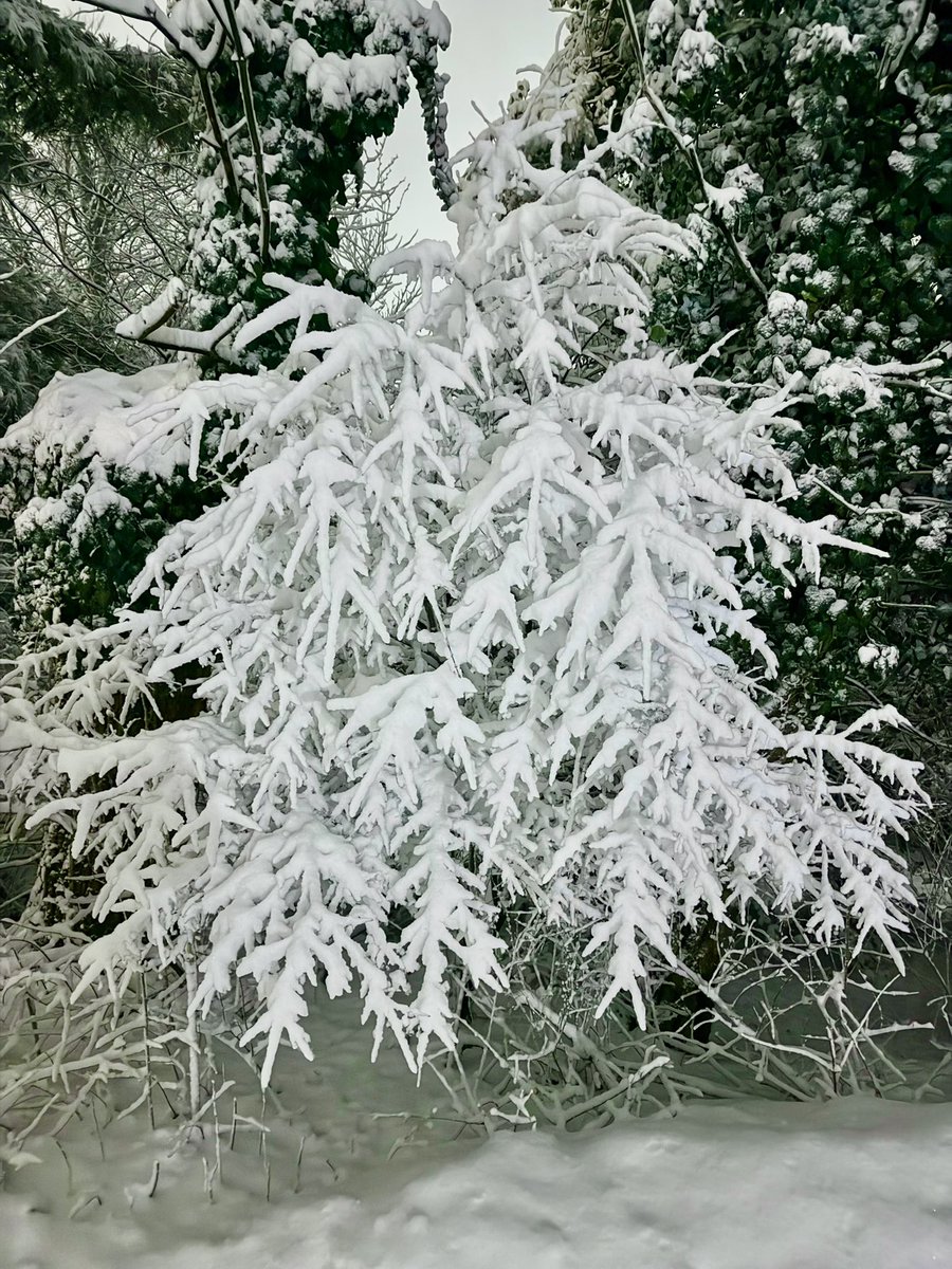 Sean Duffy tweet media